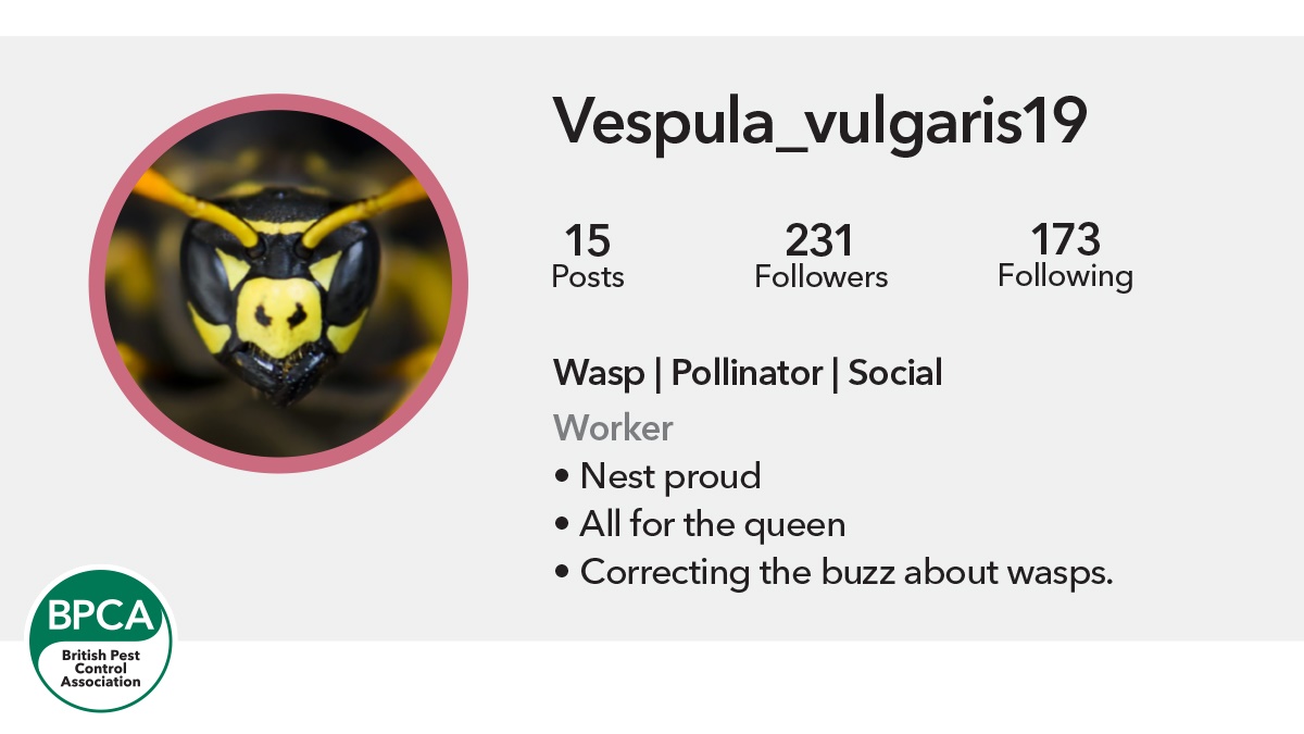 Wasp positive c1 Wasp positive c1